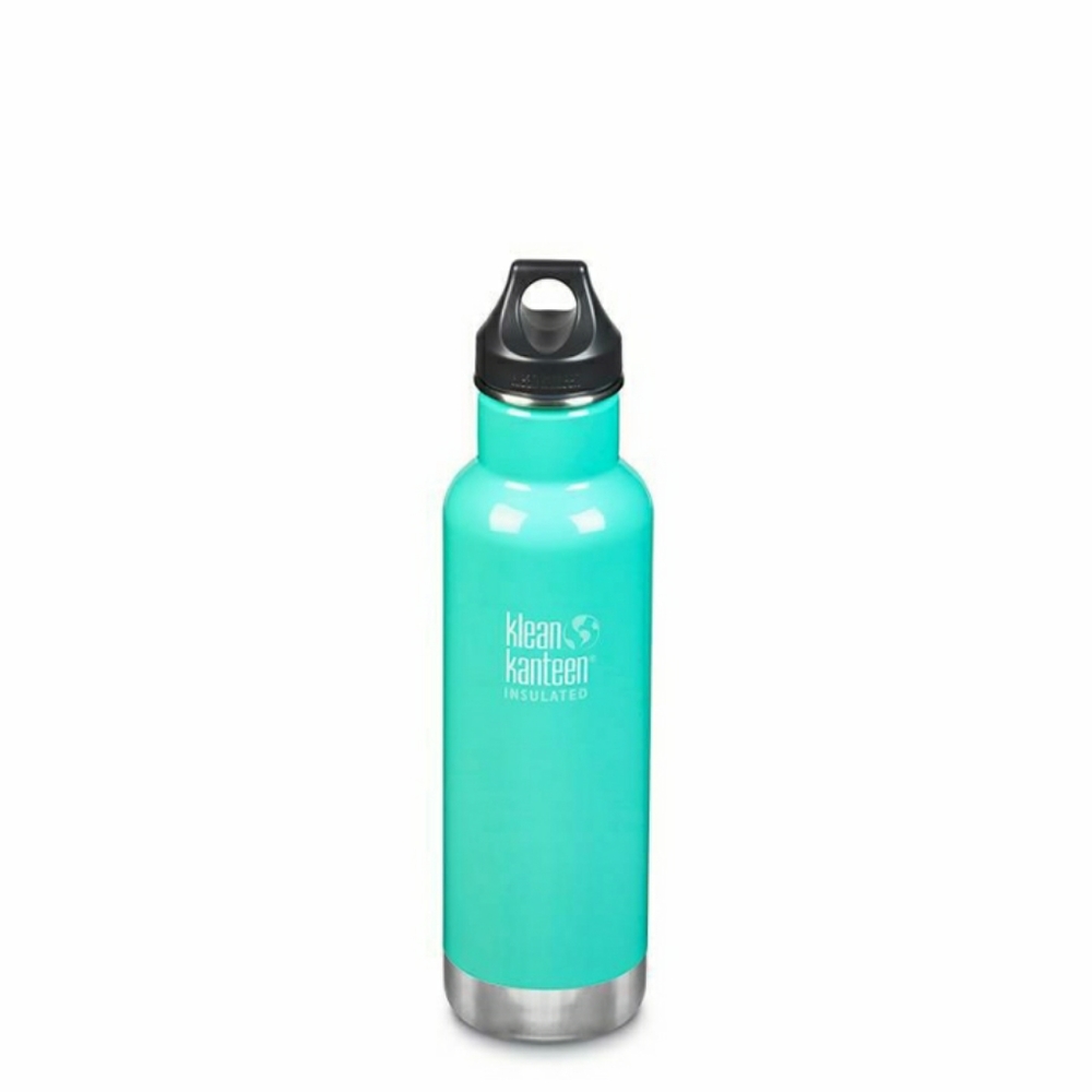 NWT Klean Kanteen - Insulated Classic